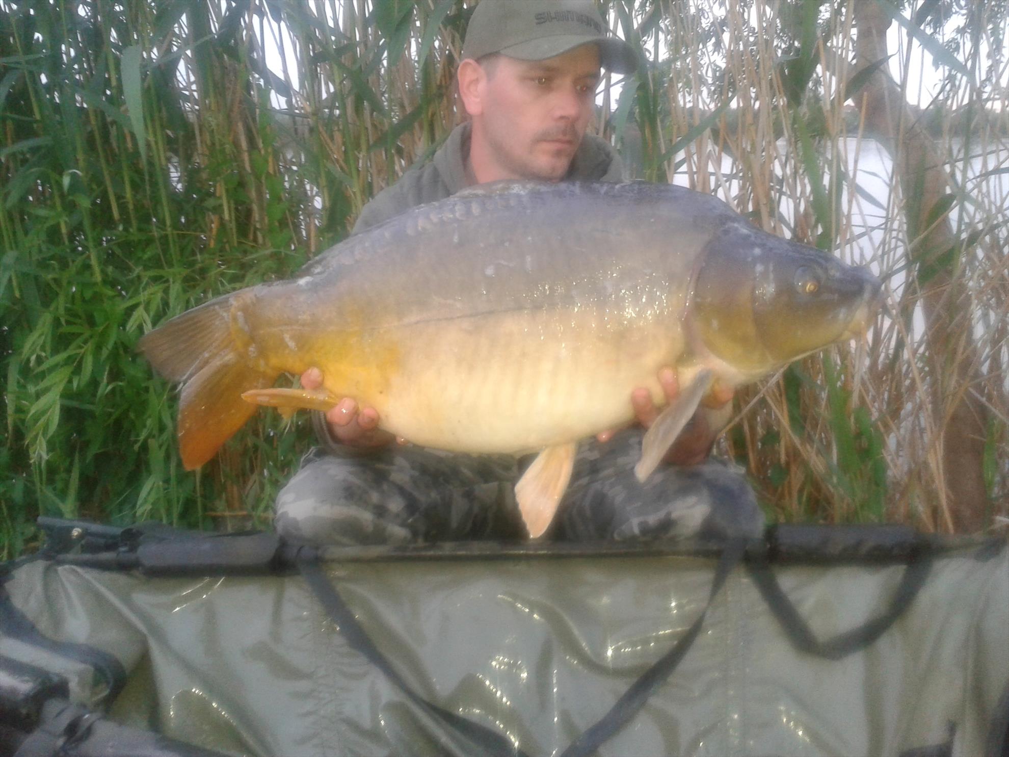 15-17.05.2015 - 20150516195410.jpg